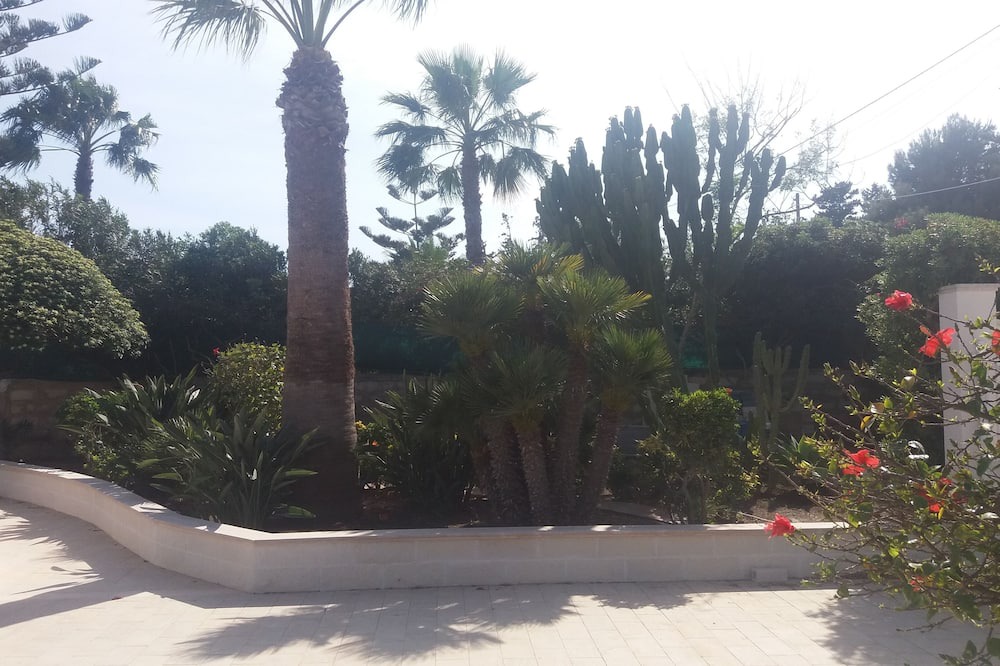 Photo of Outdoor in San Lorenzo