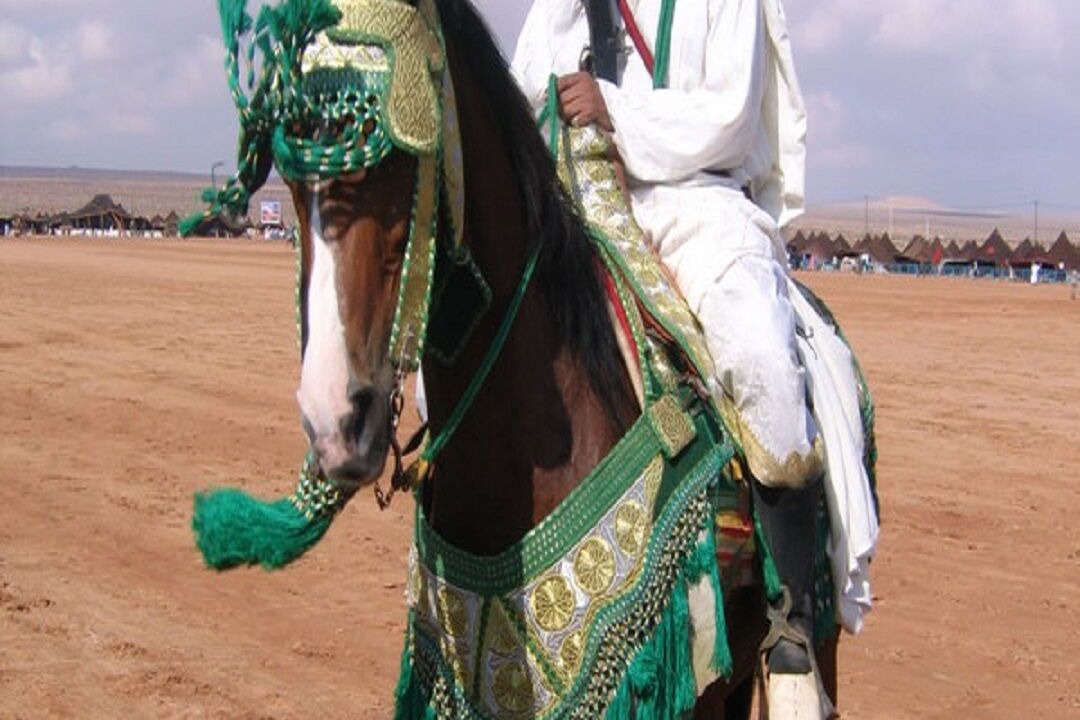 Photo of Others in Arbaa Sahel