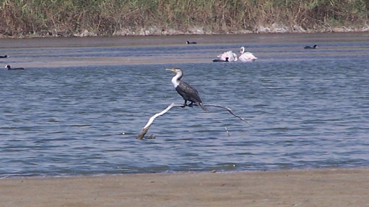 Photo of Others in Arbaa Sahel