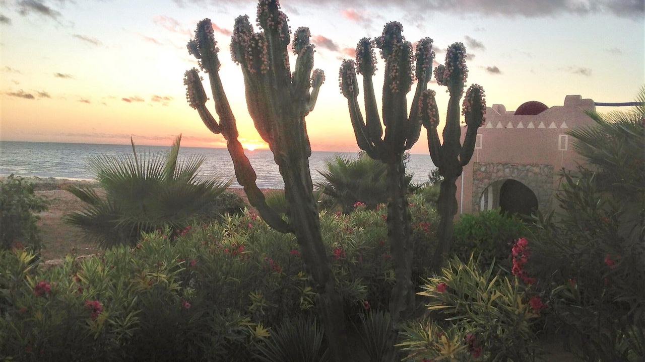 Photo of Outdoor in Arbaa Sahel