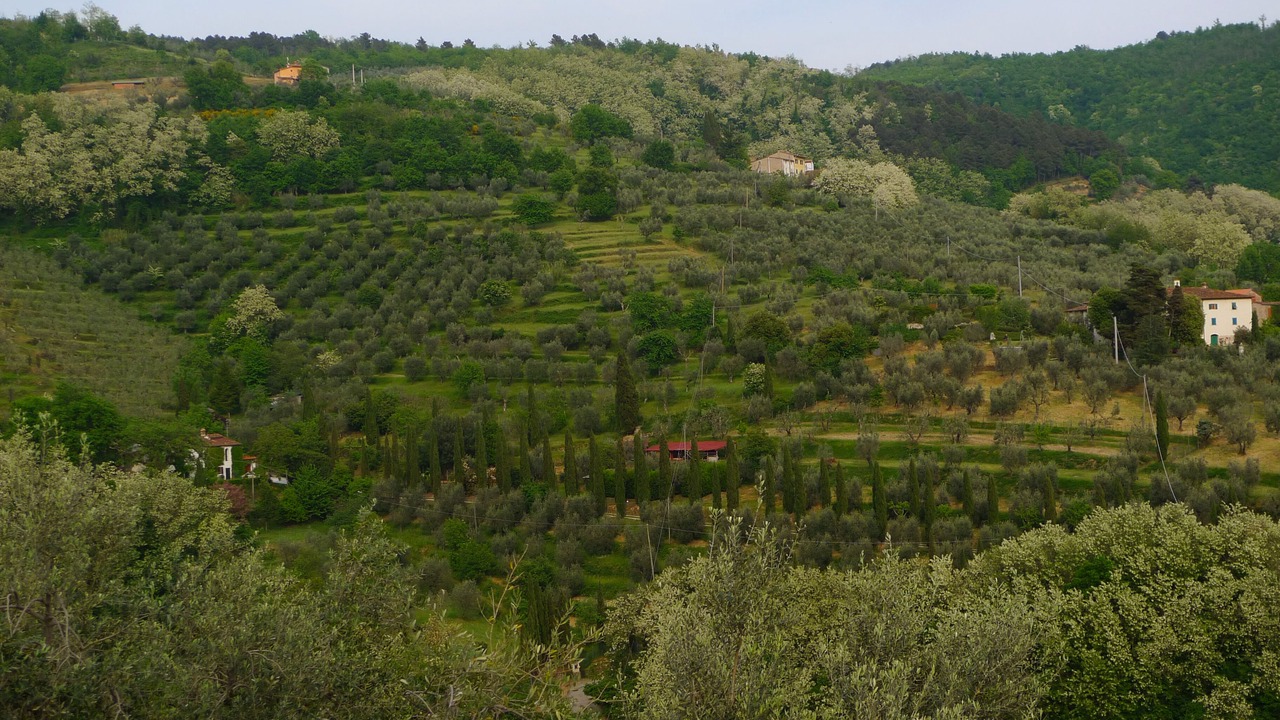 Photo of Outdoor in Saturnana