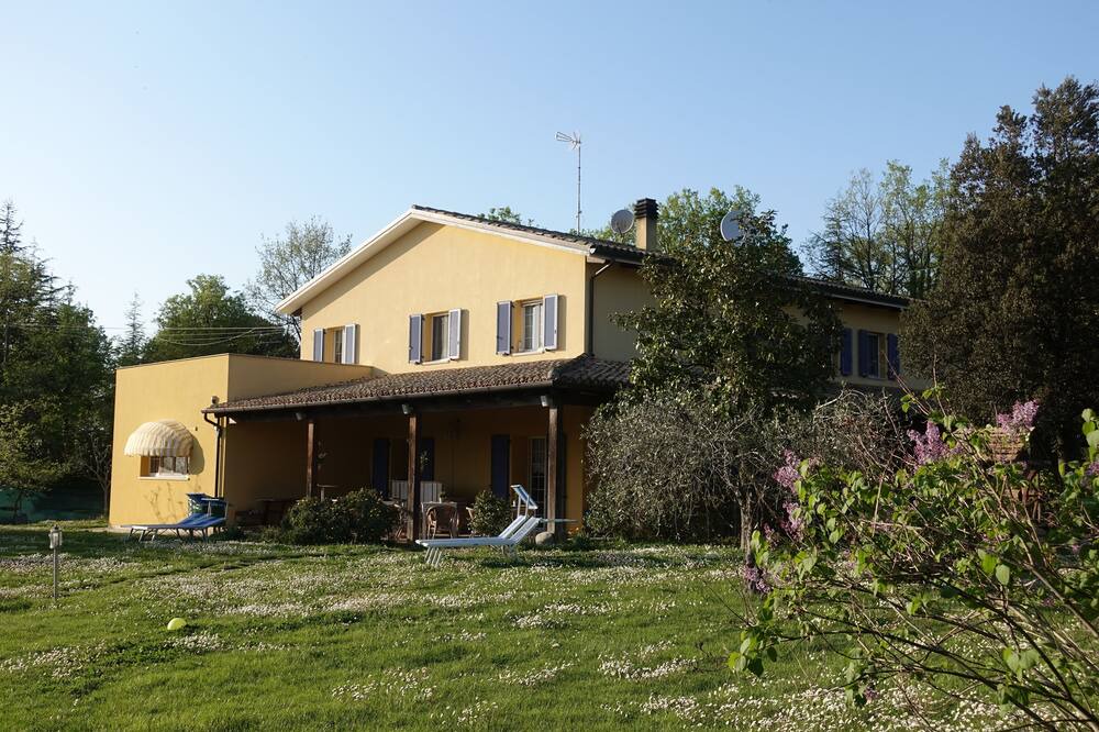 Photo of Outdoor in Tavullia