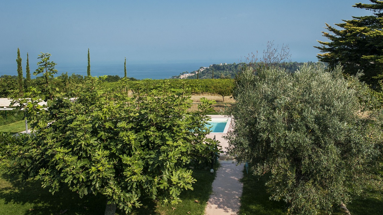 Photo of Outdoor in Cupra Marittima