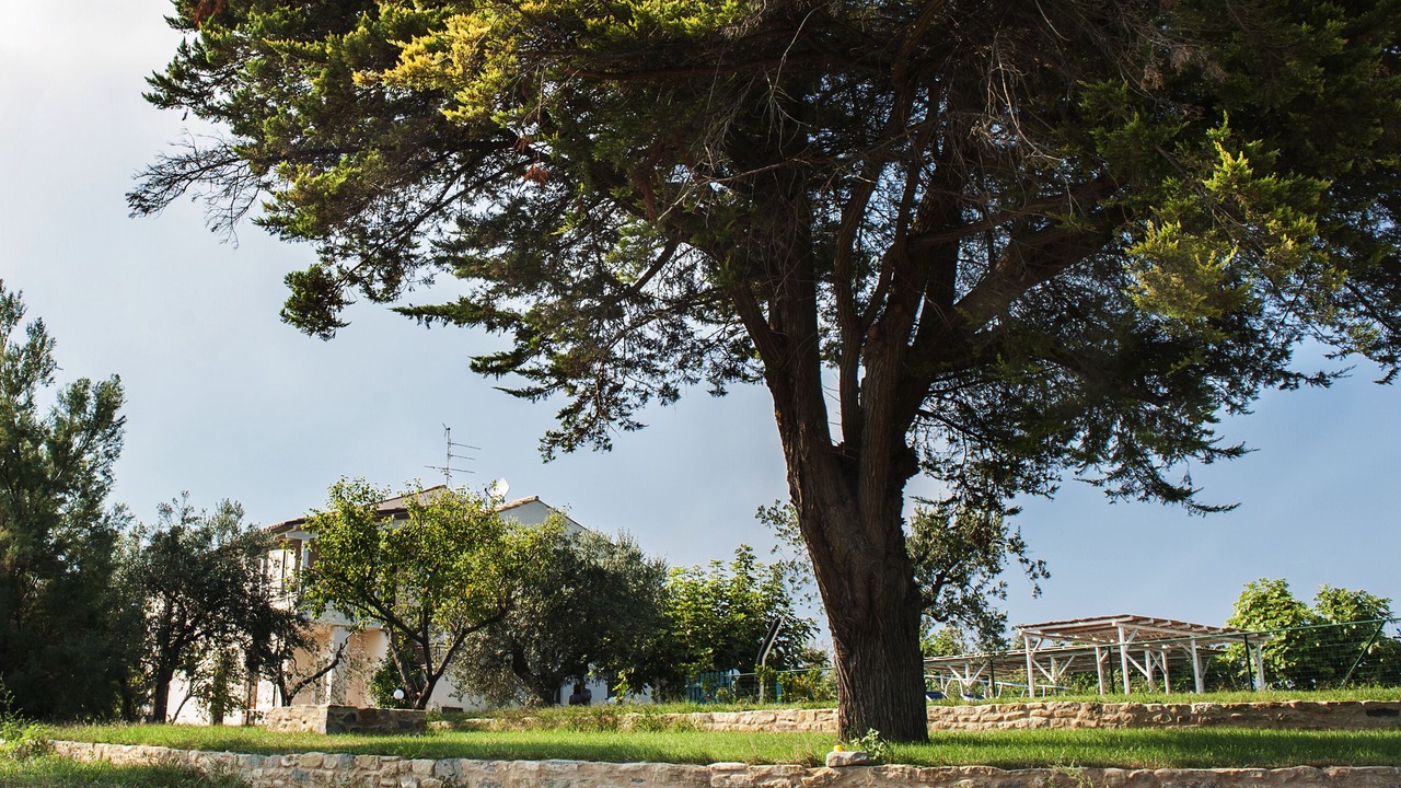 Photo of Outdoor in Cupra Marittima
