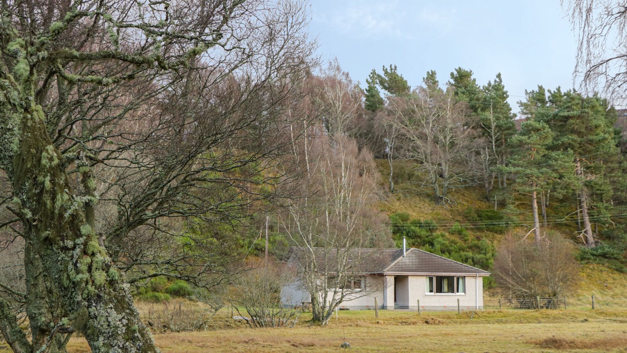 Photo of Outdoor in Alvie