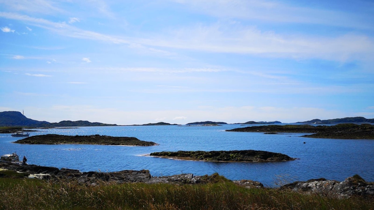 Photo of Others in Arduaine