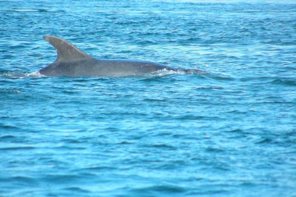 Photo of Others in Slate Islands