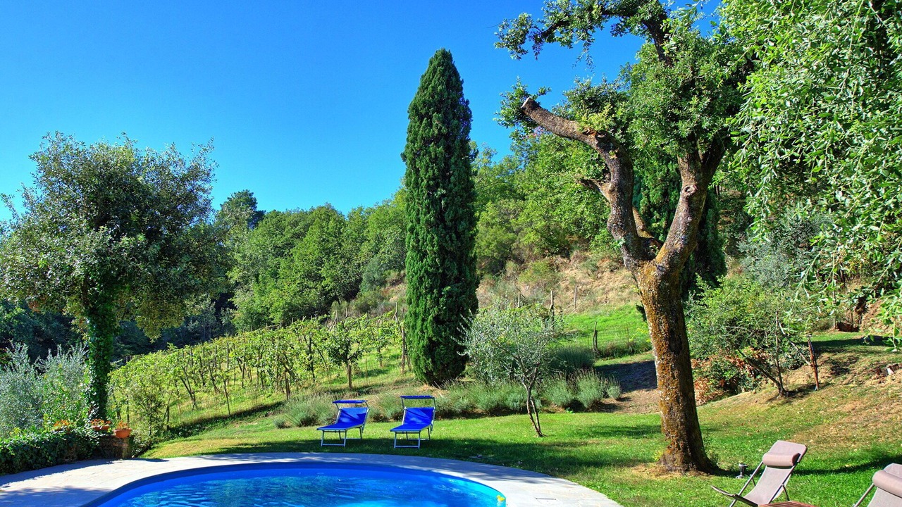 Photo of Outdoor in Cavriglia