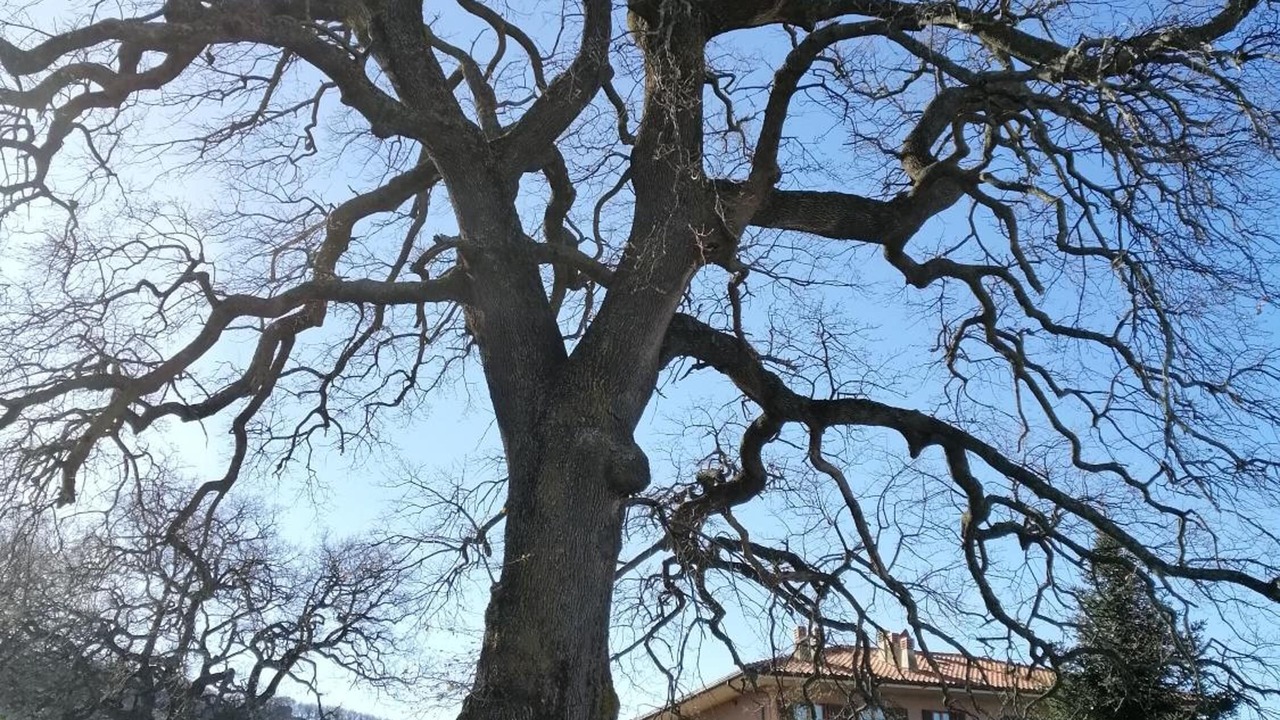 Photo of Outdoor in Cingoli