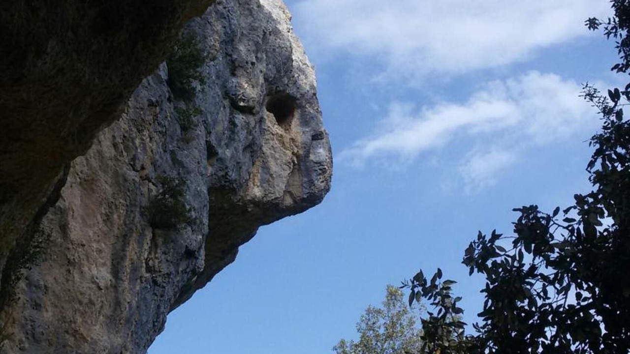 Photo of Others in Cingoli