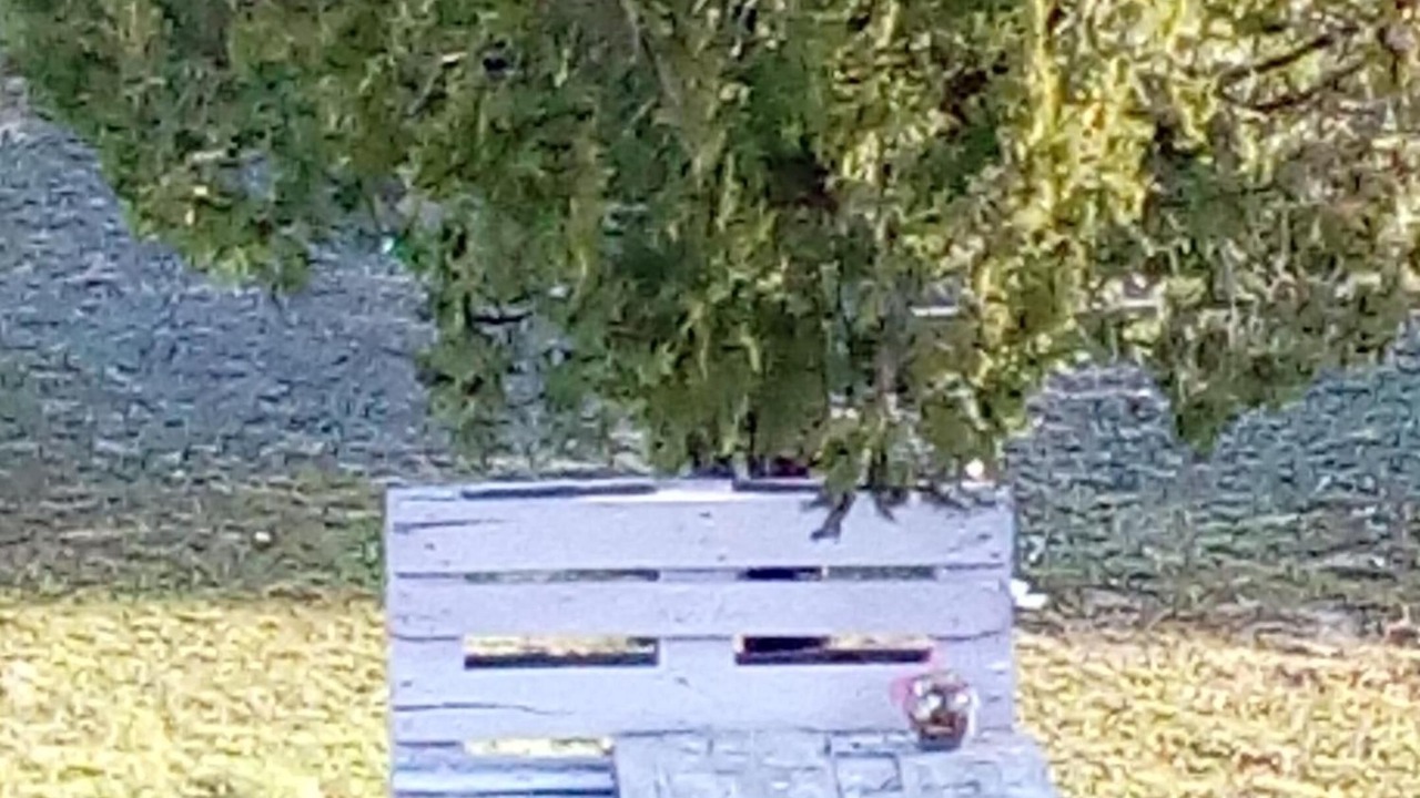 Photo of Outdoor in Cingoli