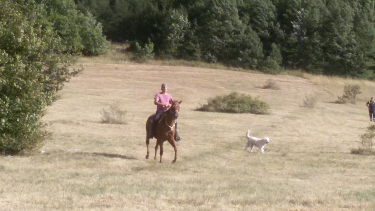 Photo of Outdoor in Cingoli