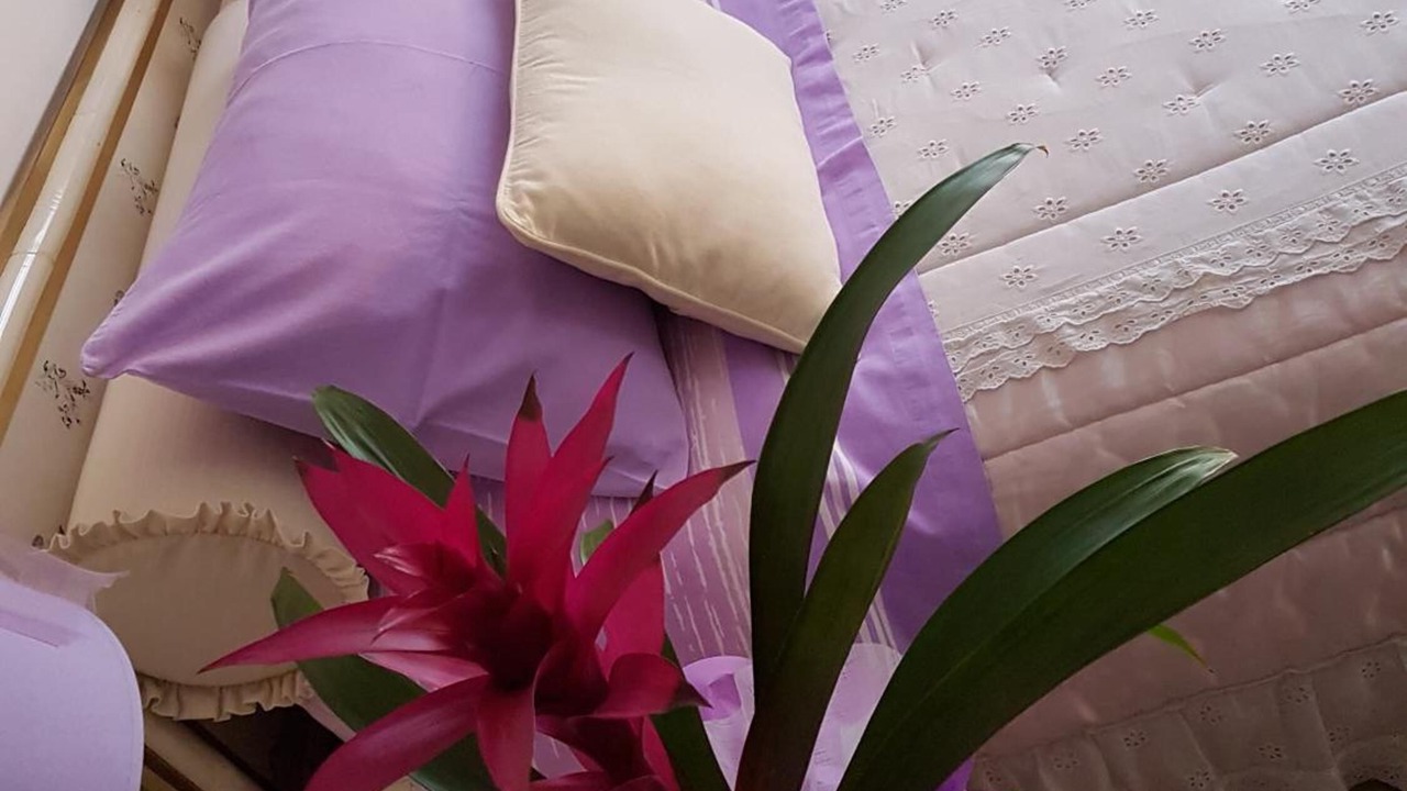 Photo of Bedroom in Dalmine