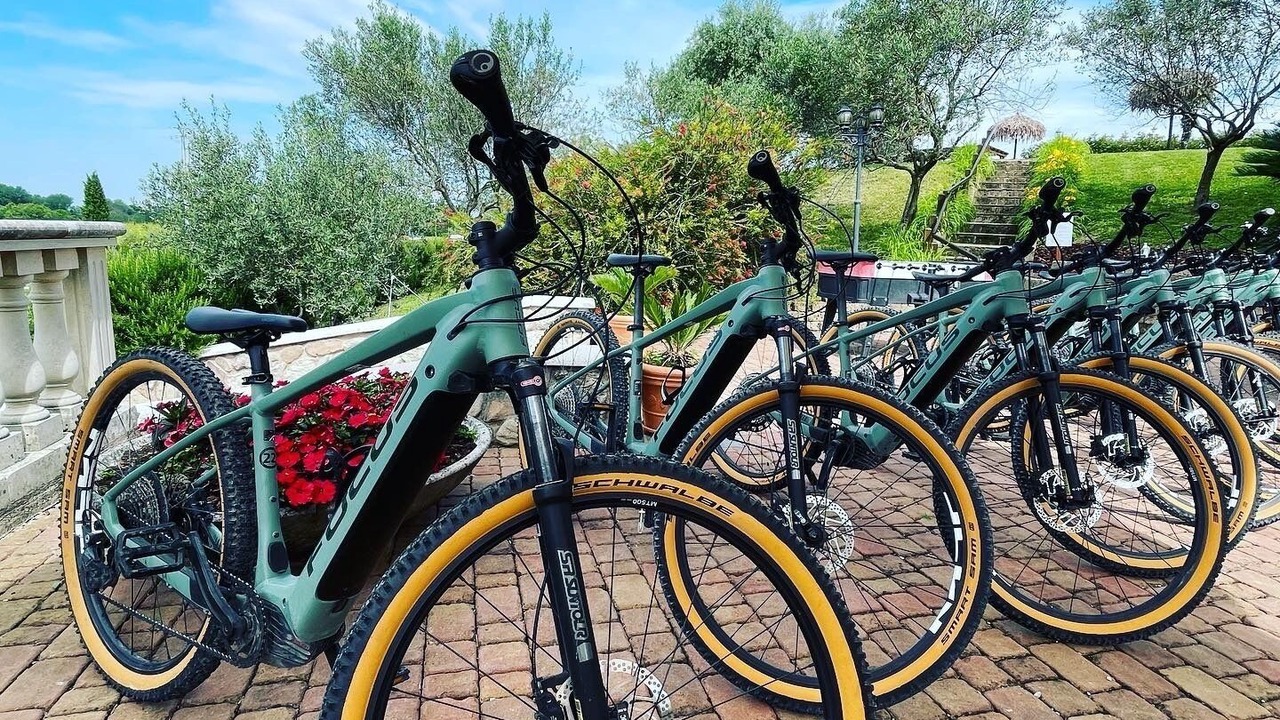 Photo of Outdoor in San Benedetto di Lugana