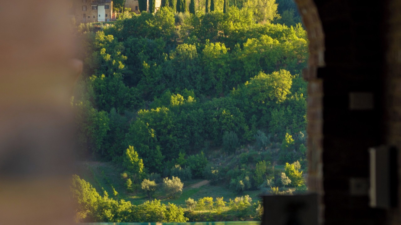 Photo of Outdoor in Torrita di Siena