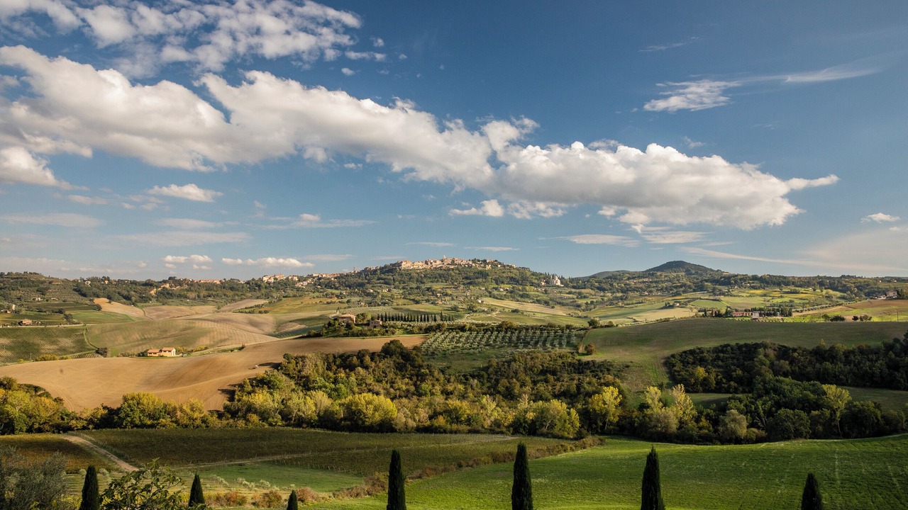 Photo of Others in Torrita di Siena