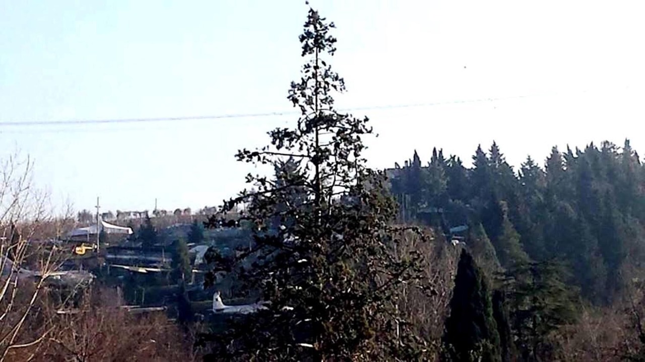 Photo of Outdoor in Falciano