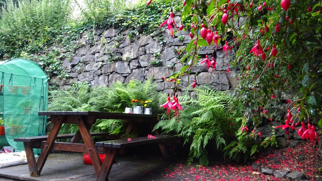 Photo of Outdoor in Tobermory