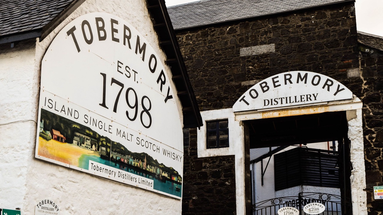 Photo of Others in Tobermory