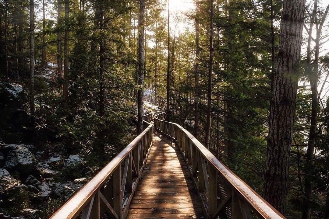 Photo of Outdoor in Halfmoon Bay