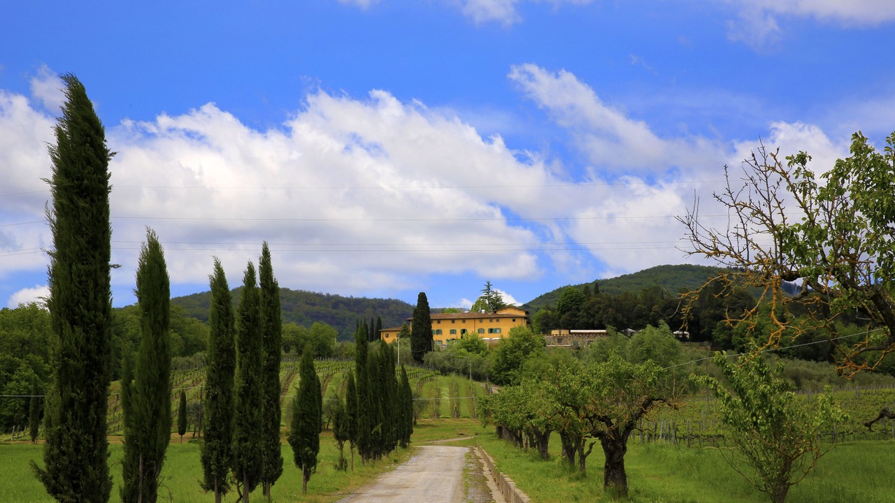 Photo of Others in Figline e Incisa Valdarno
