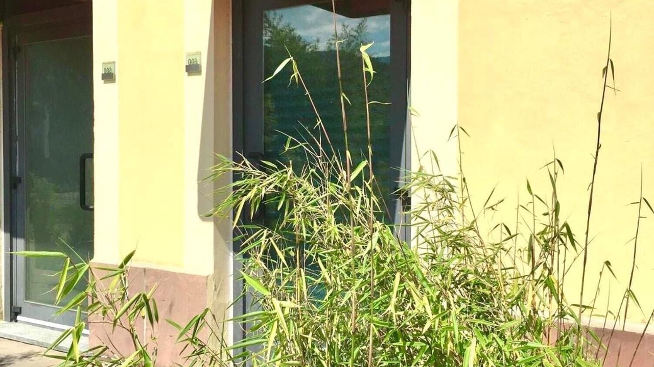 Photo of Outdoor in Pinerolo