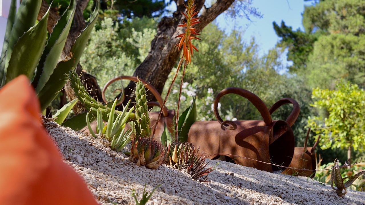 Photo of Outdoor in Oliena