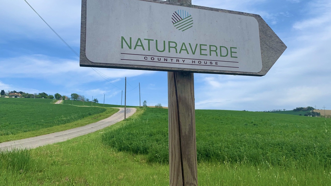 Photo of Outdoor in Ponte Rio