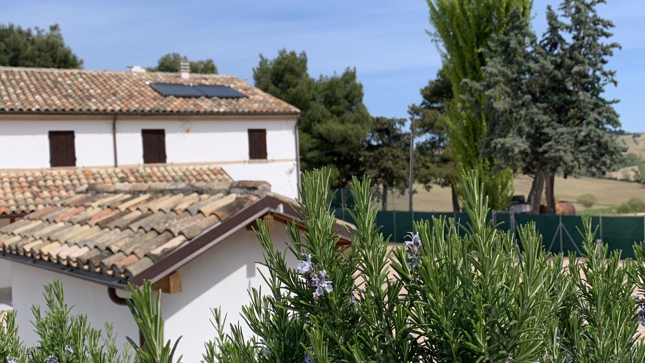 Photo of Outdoor in Ponte Rio
