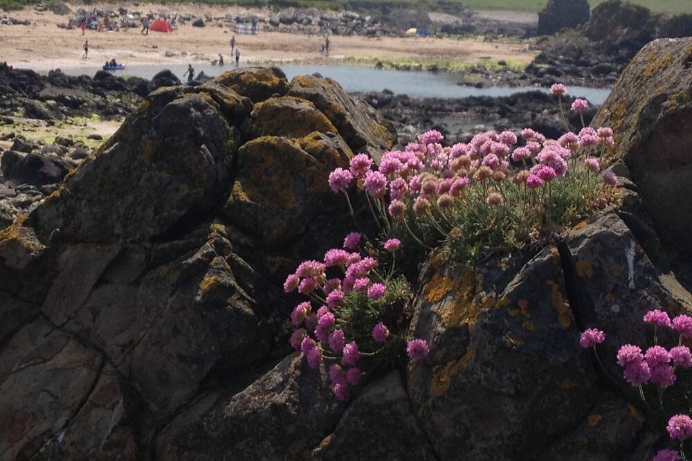 Photo of Others in Ballycastle