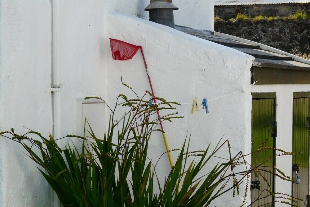 Photo of Others in Ballycastle
