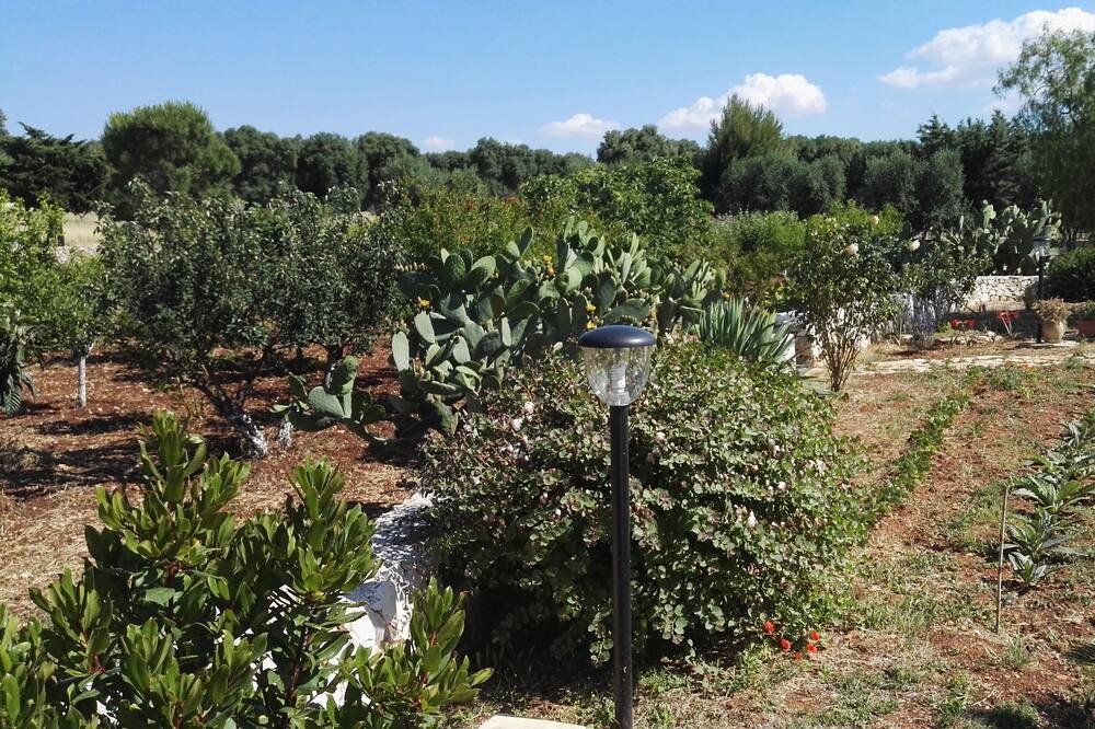 Photo of Outdoor in Carovigno