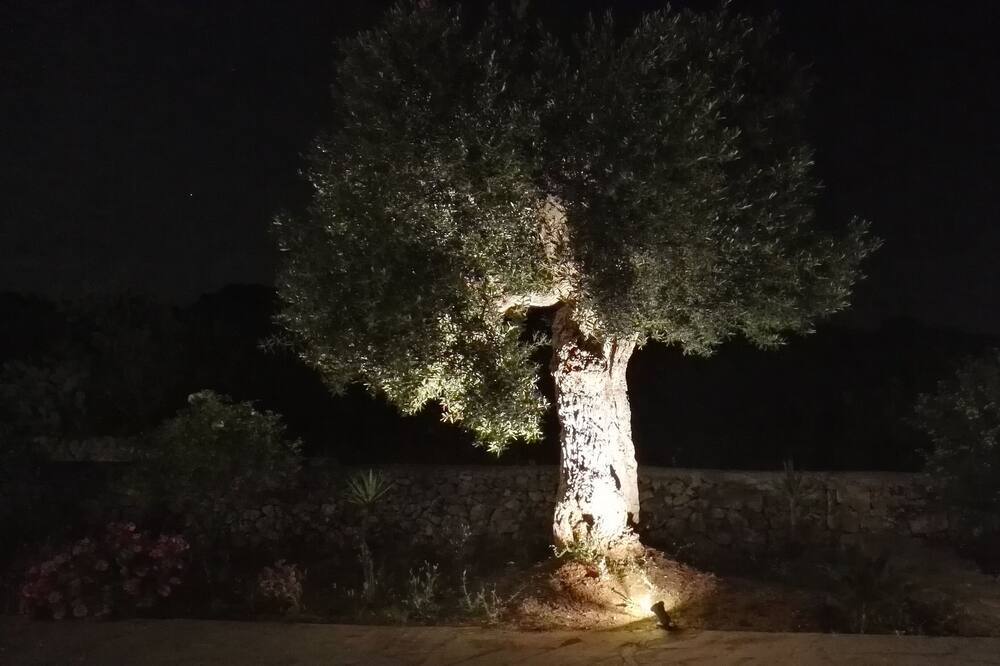 Photo of Outdoor in Carovigno