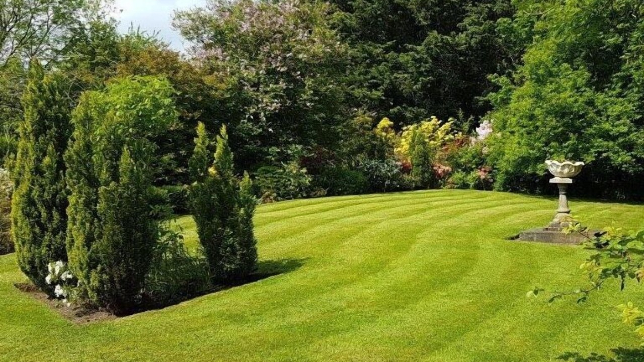 Photo of Outdoor in Craigavon