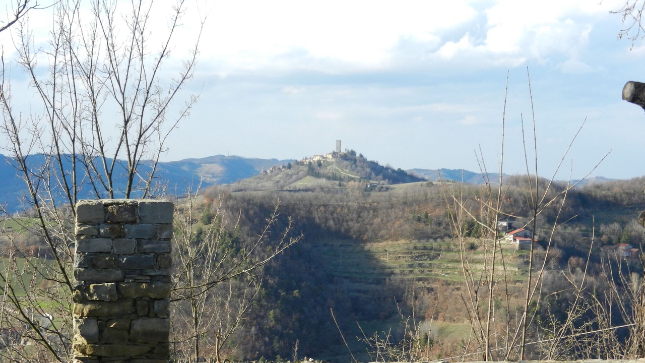 Photo of Others in Olmo Gentile