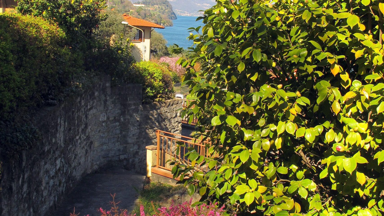 Photo of Outdoor in Limonta