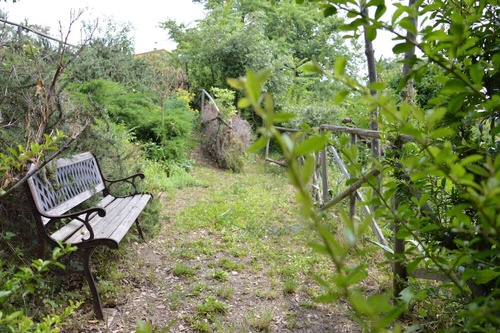 Photo of Outdoor in Re di Coppe
