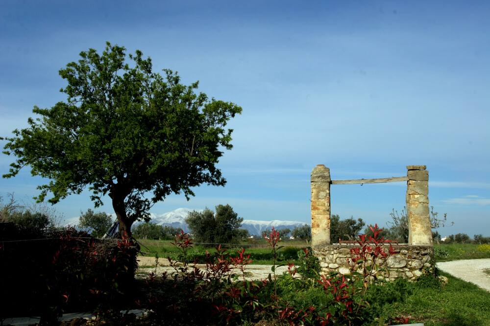 Photo of Others in Re di Coppe