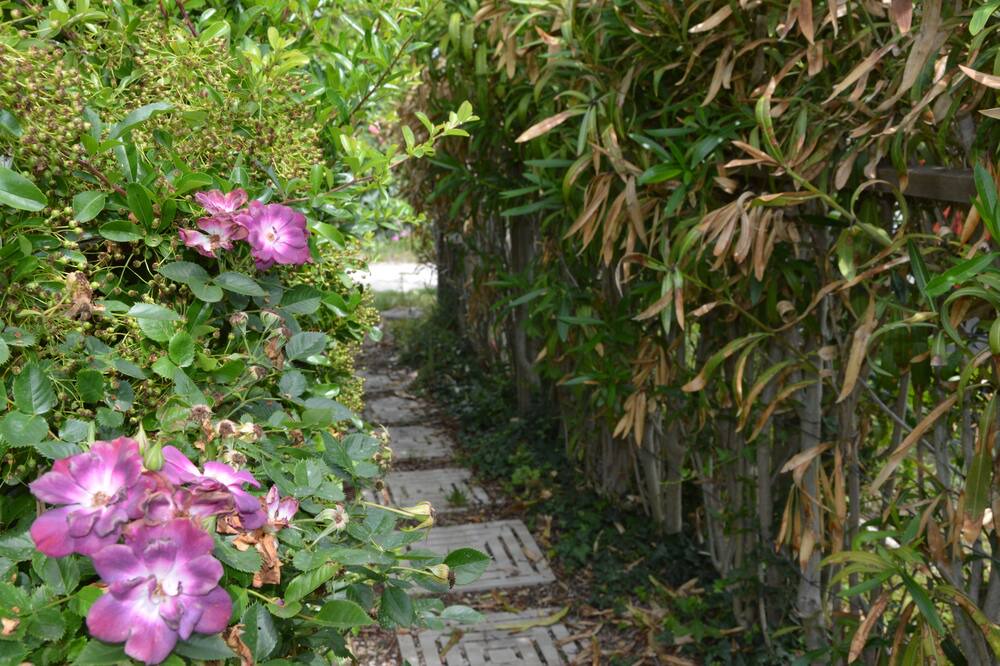 Photo of Outdoor in Re di Coppe