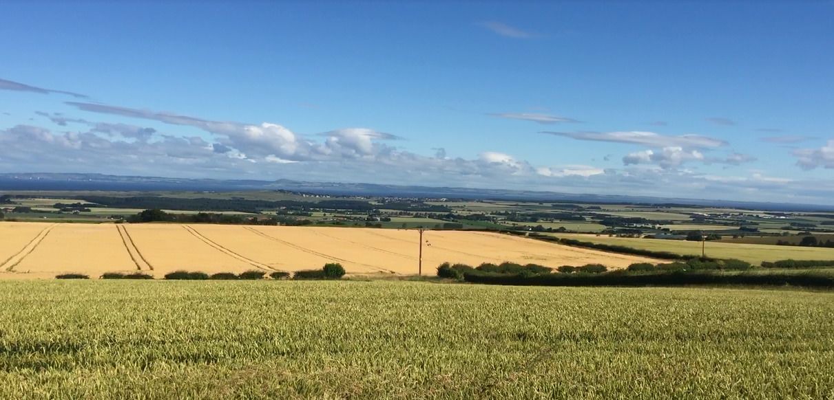 Photo of Others in MacMerry