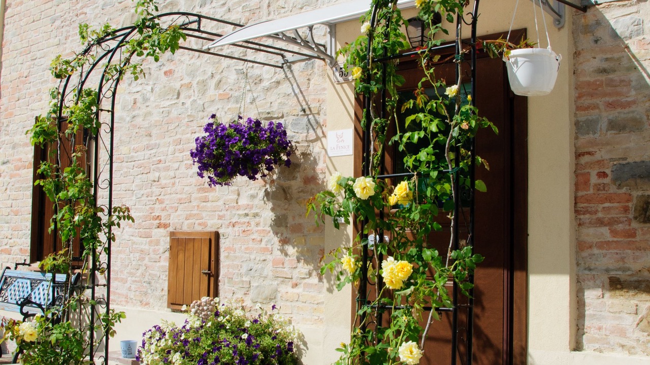 Photo of Outdoor in Mondaino