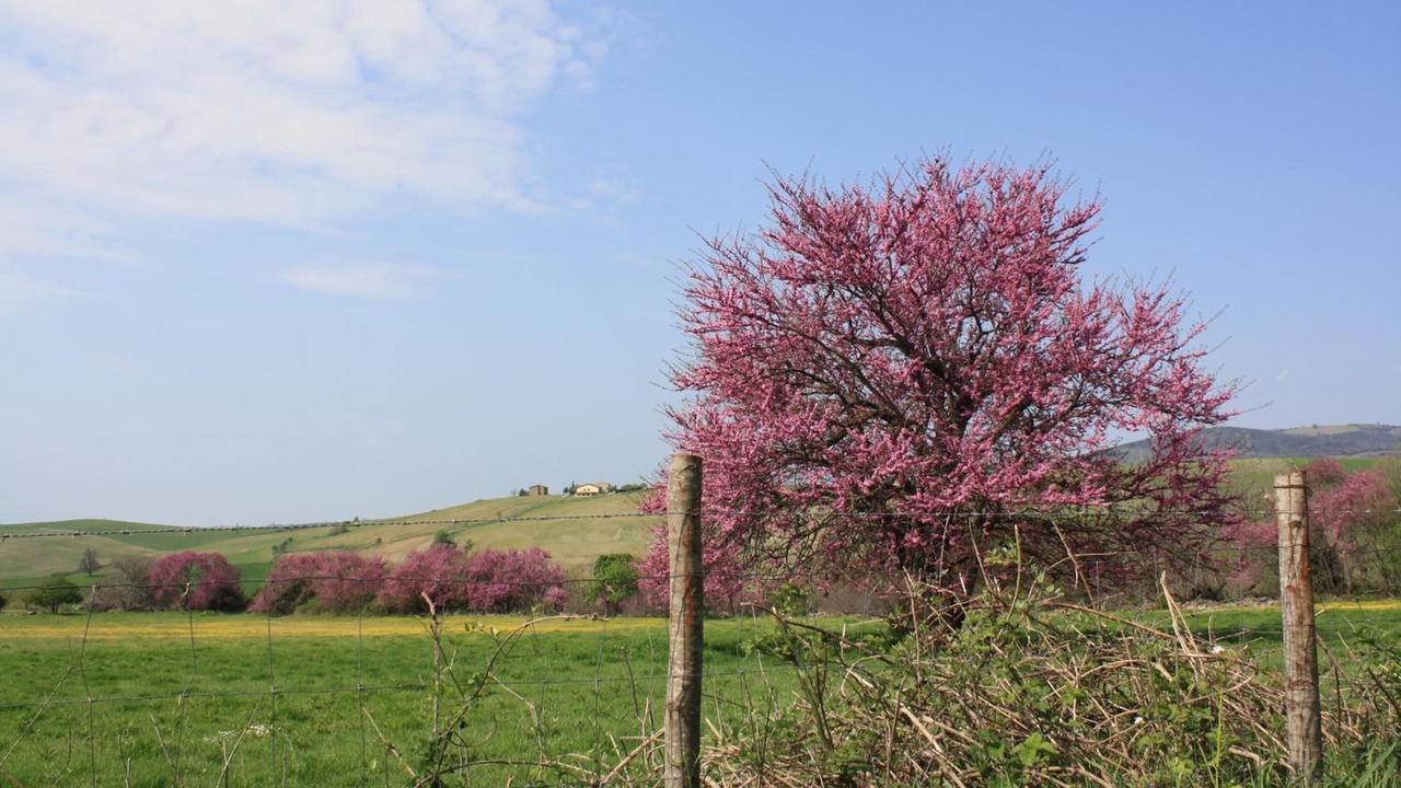 Photo of Outdoor in Saturnia