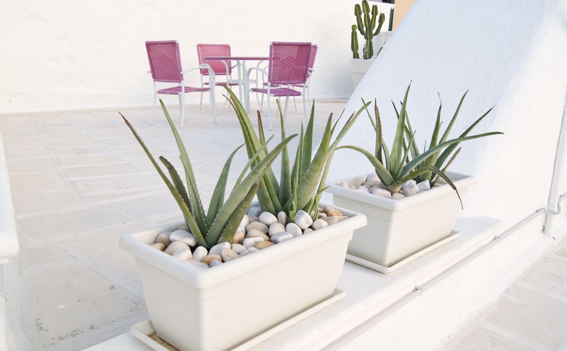 Photo of Patio Balcony in Centro Storico