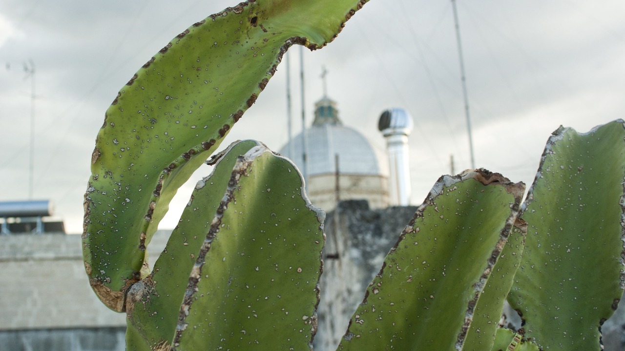 Photo of Outdoor in Centro Storico