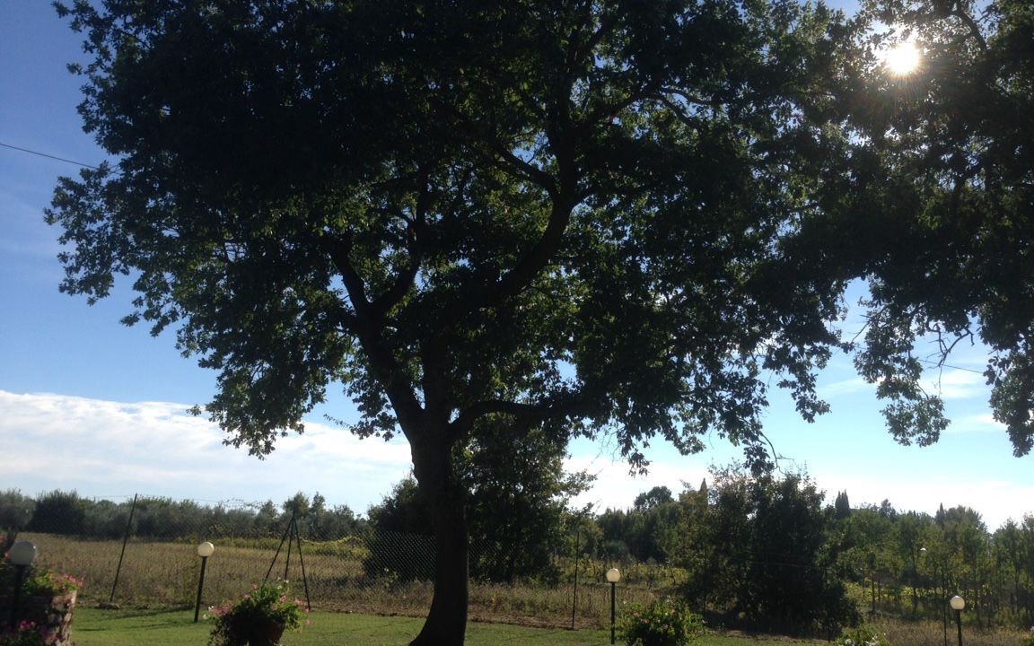 Photo of Outdoor in Le Piazze