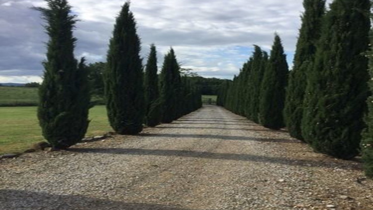 Photo of Outdoor in Le Piazze