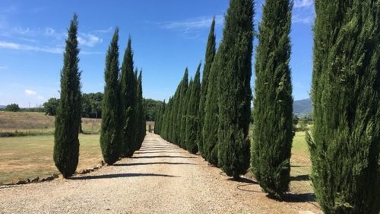 Photo of Outdoor in Le Piazze