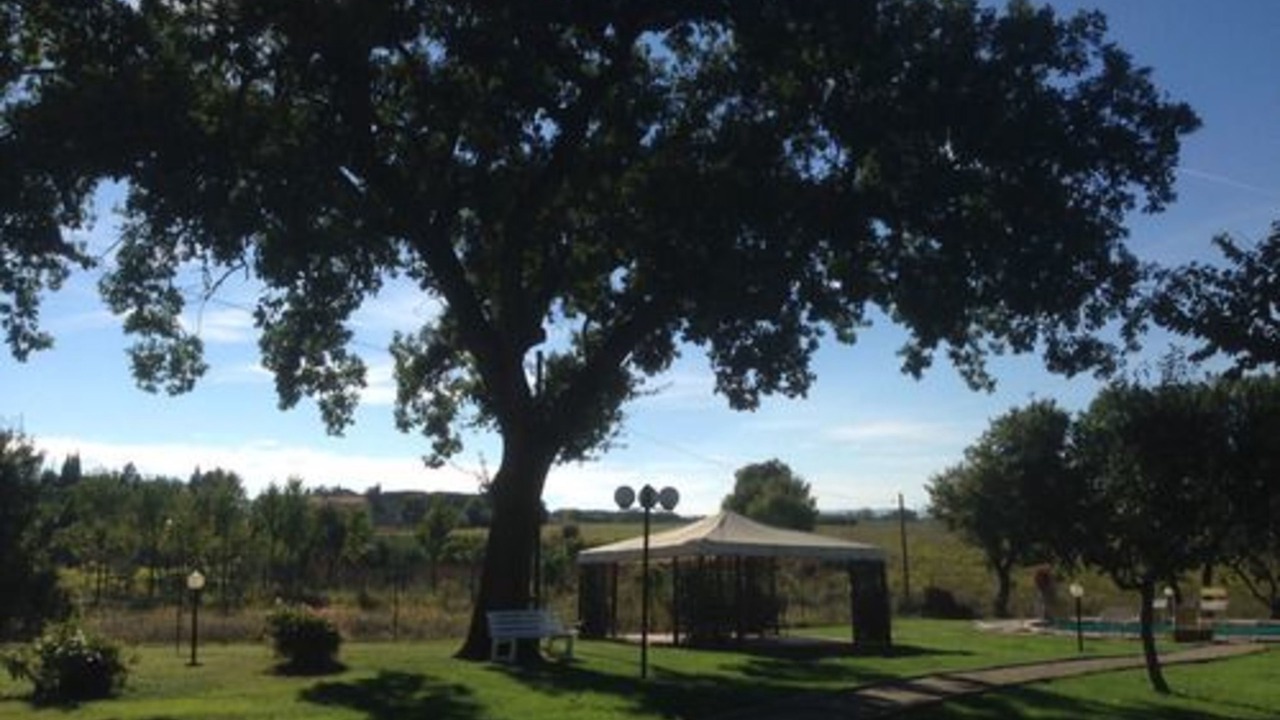Photo of Outdoor in Le Piazze