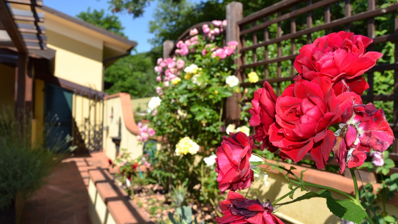 Photo of Outdoor in Talamello