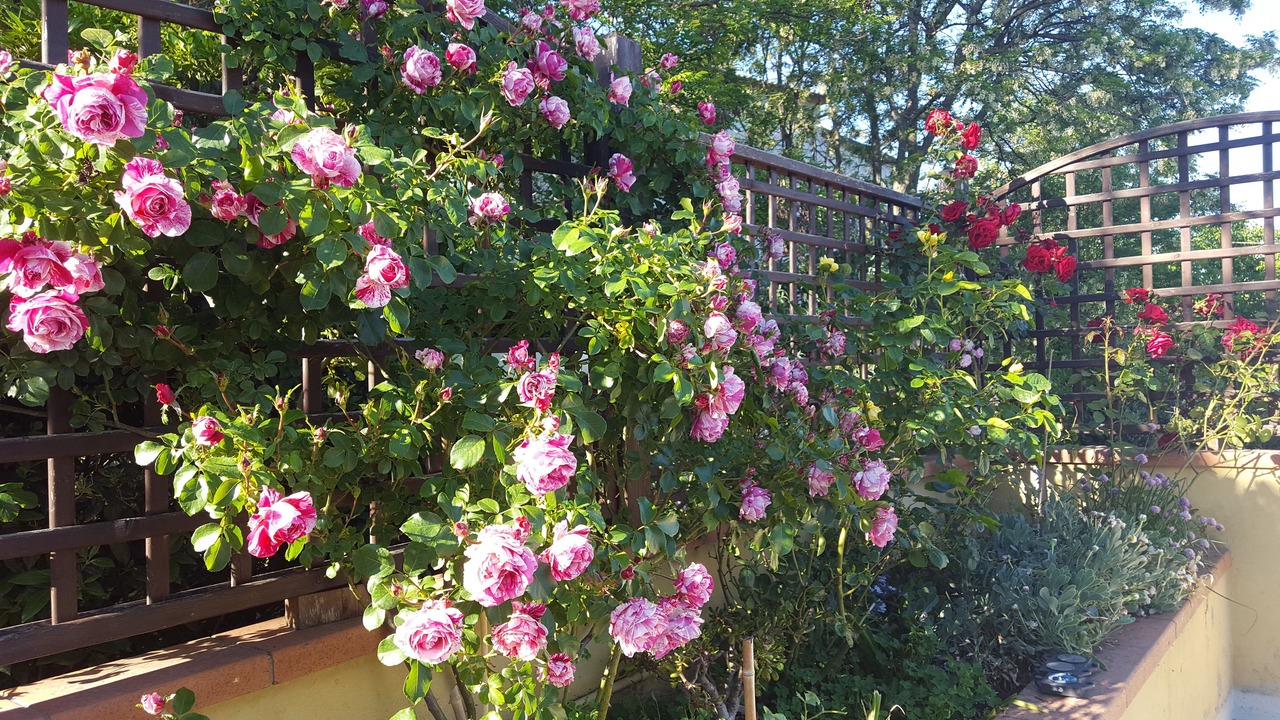 Photo of Outdoor in Talamello